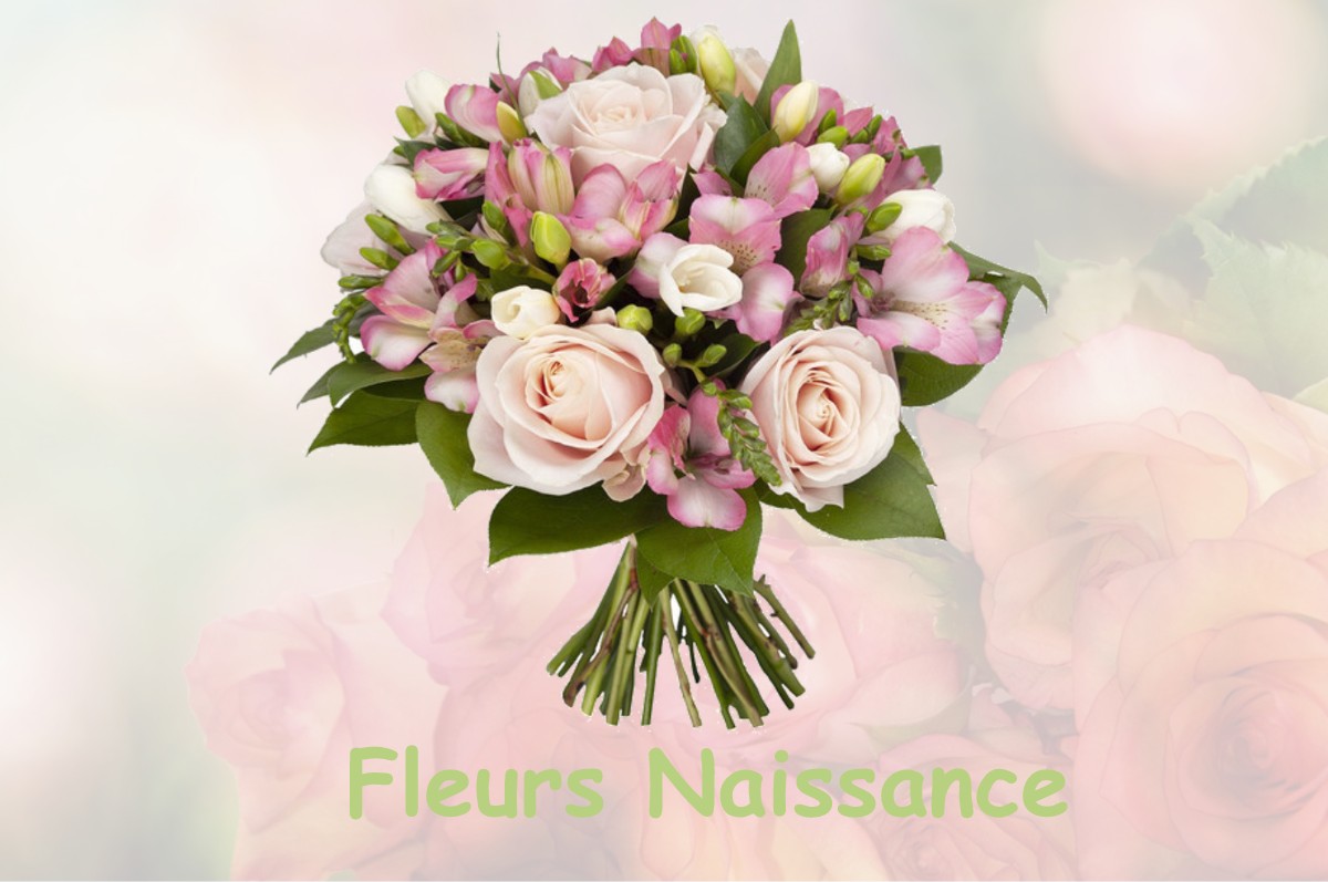 fleurs naissance LE-PLESSIS-LUZARCHES