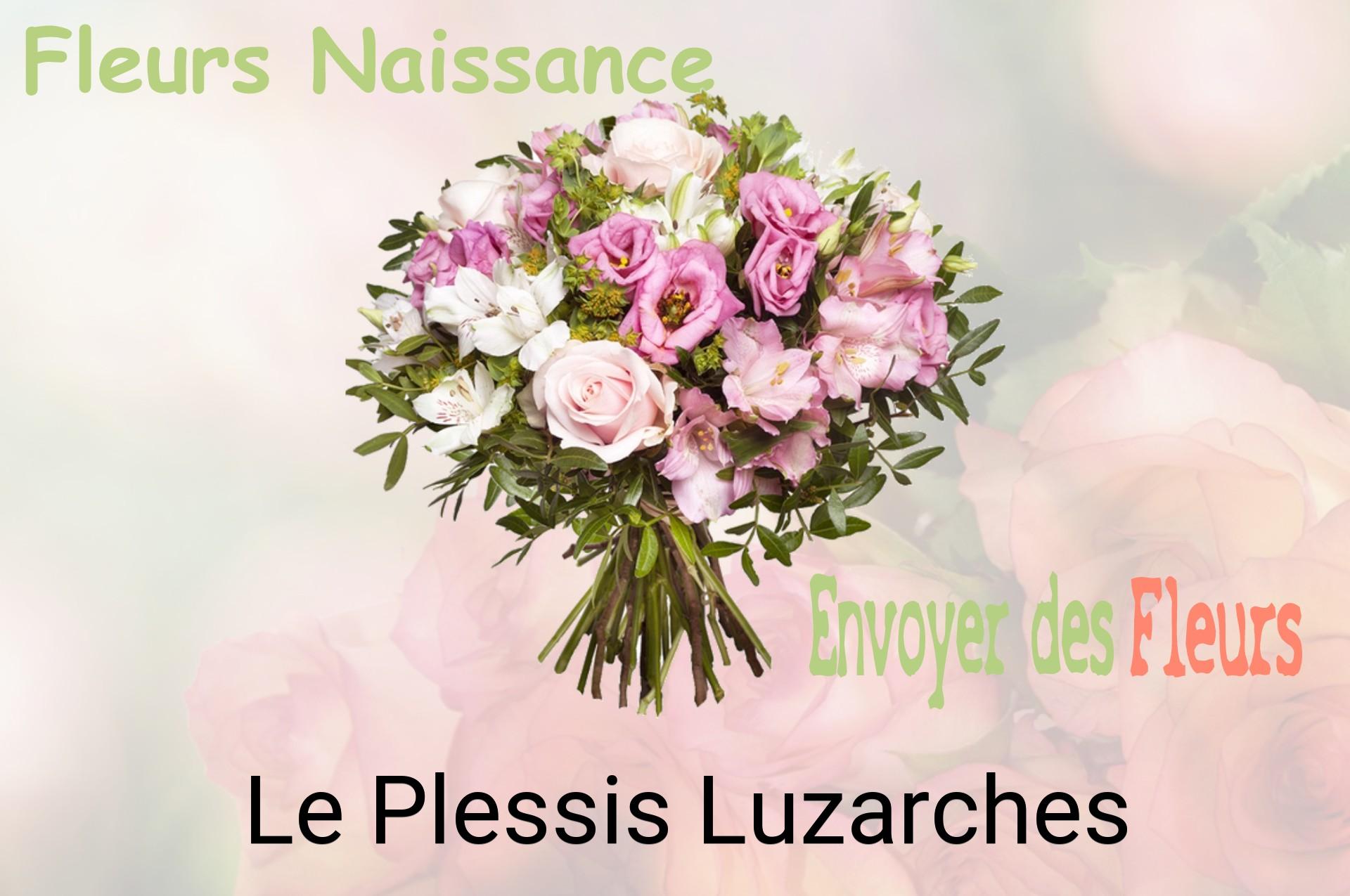 Bouquet de fleurs de naissance livré à Le Plessis-Luzarches