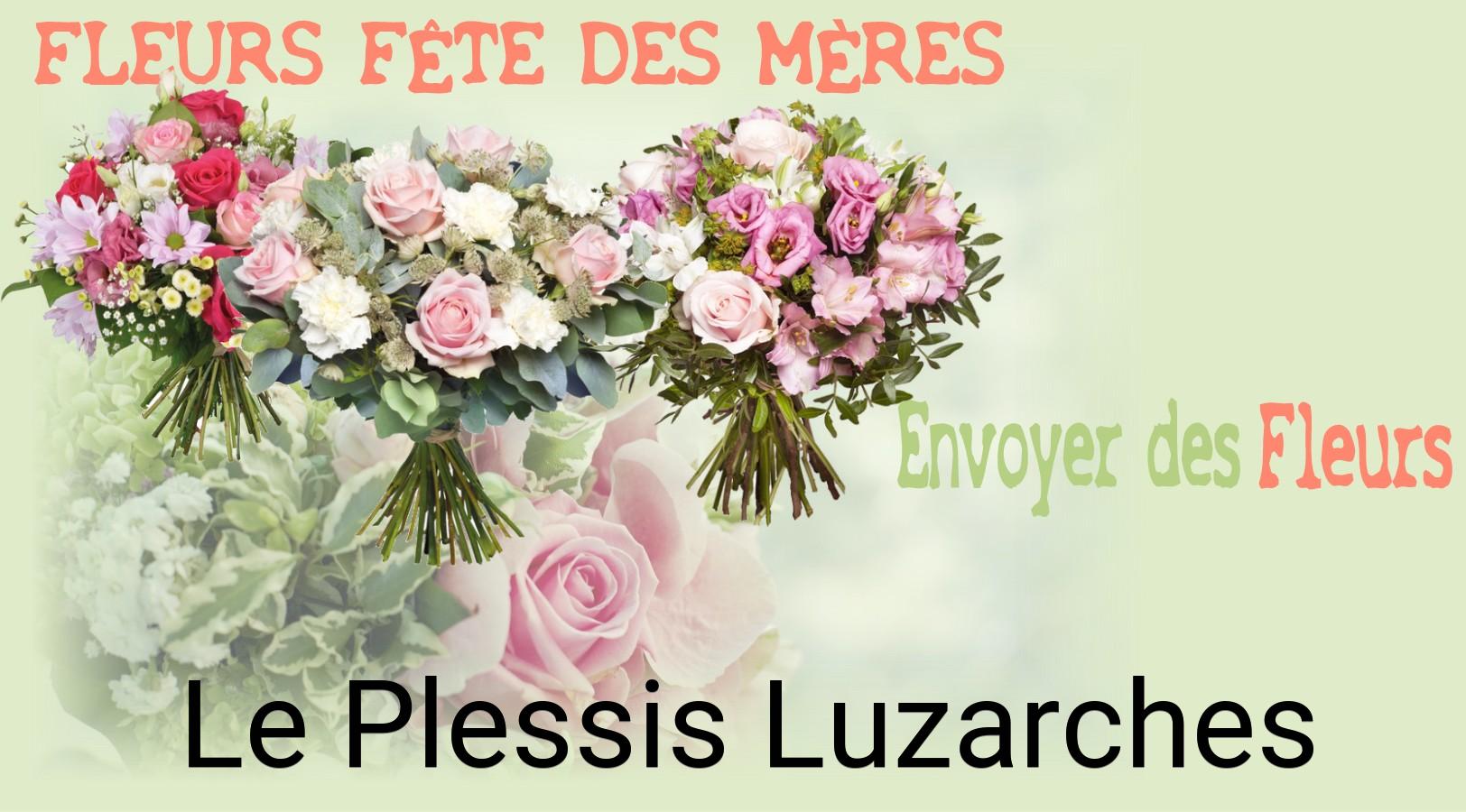 Bouquet de Fête des Mères livré à Le Plessis-Luzarches